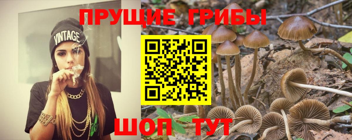 Великий Устюг  наркошоп  Вход с VPN  Псилоцибиновые грибы ЛСД 