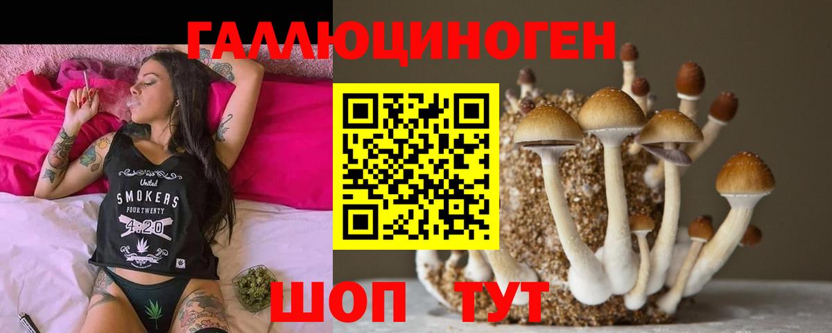 Псилоцибиновые грибы прущие грибы Великий Устюг